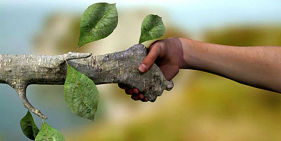 Definiendo Política Ambiental