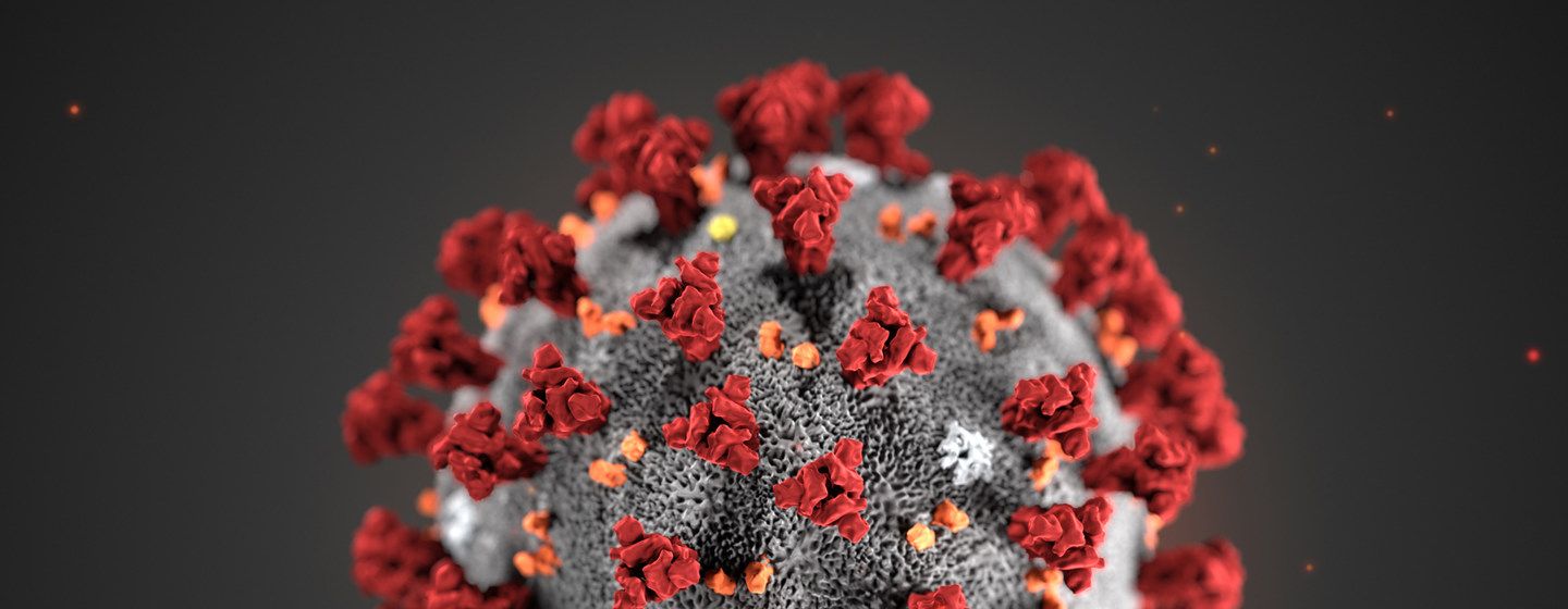 Hablemos de enfoques del Coronavirus, más allá de la enfermedad en sí.